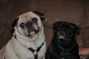 Darla and Spanky