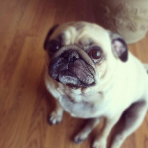 Tucker Tucker