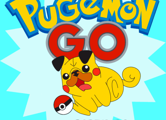 pugemon-go-ppn